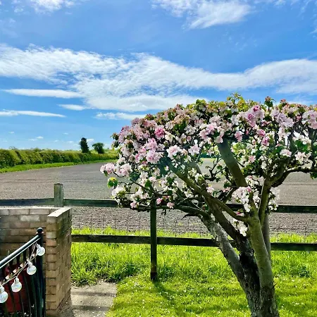 The Prázdninový dům *