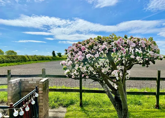 The Сasa de vacaciones *