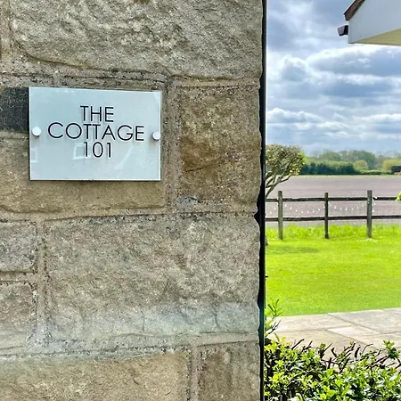 Semesterbostad The York