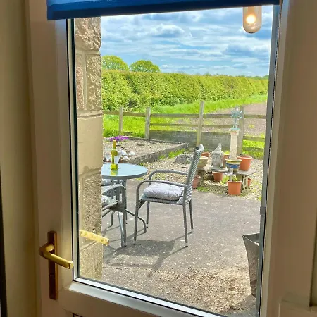 Vakantiehuis The York